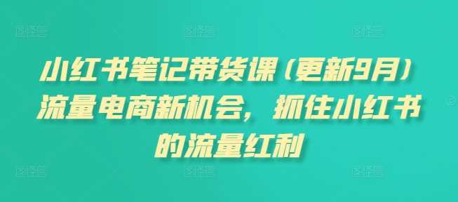 小红书笔记带货课(更新12月)流量电商新机会，抓住小红书的流量红利-吾藏分享