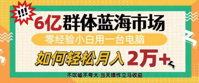 6亿群体蓝海市场，零经验小白用一台电脑，如何轻松月入过w【揭秘】-吾藏分享