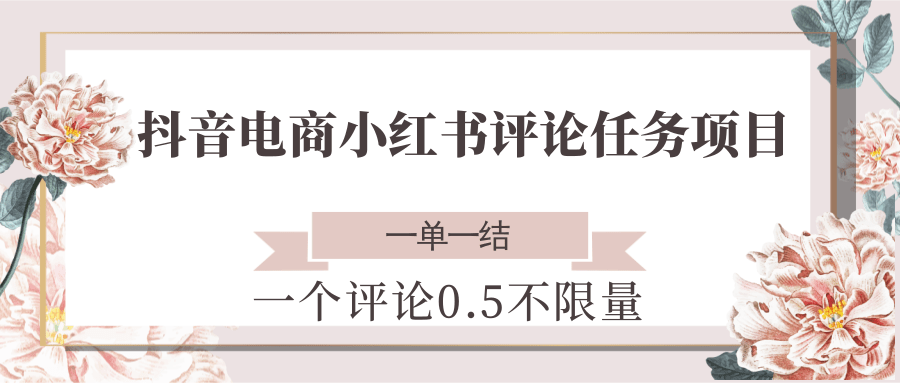 抖音电商小红书评论任务项目，一个评论0.5，一单一结 不限量-吾藏分享