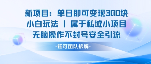 新项目单日即可变现3张的小白玩法无脑操作不封号安全引流-吾藏分享