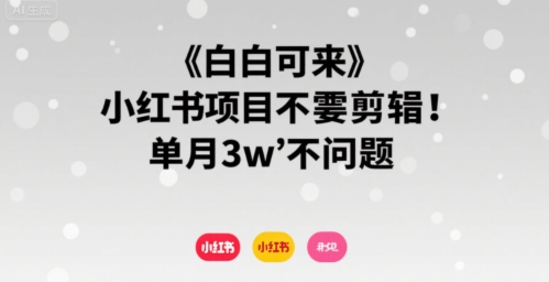 小白可来 小红书项目不需要剪辑 单月3w不是问题-吾藏分享