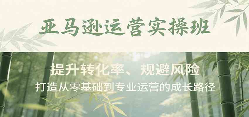 亚马逊运营实操班，提升转化率、规避风险，打造从零基础到专业运营的成长路径-吾藏分享