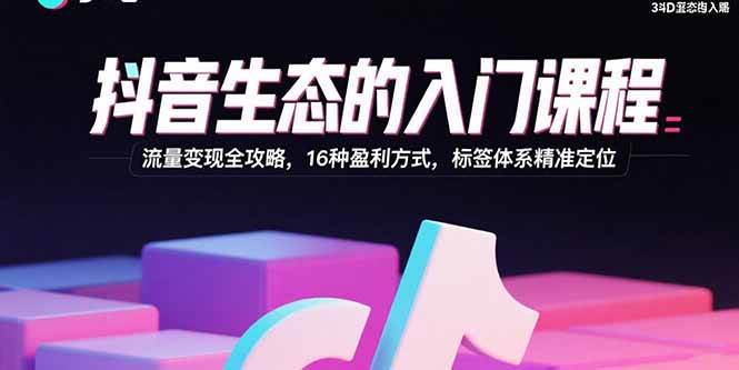 （15856期）抖音生态的入门课程：流量变现全攻略，16种盈利方式，标签体系精准定位-吾藏分享