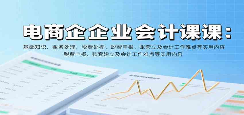 电商企业会计课：基础知识、账务处理、税费申报、账套建立及会计工作难点等实用内容-吾藏分享