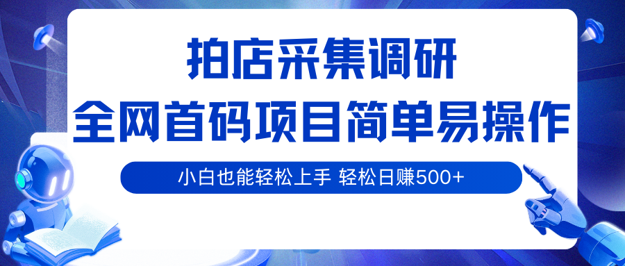 拍店采集调研，全网首码项目，简单易操作， 小白也能轻松上手，轻松日赚500+-吾藏分享