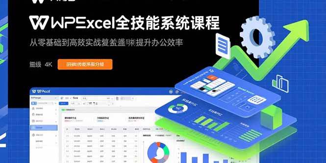 图片[1]_（15873期）WPS Excel全技能系统课程：从零基础到高阶实战全覆盖，全面提升办公效率_菜菜笔记