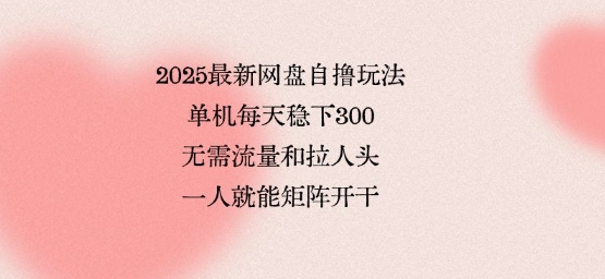 2025最新网盘自撸玩法，单机每天稳下3张，无需流量和拉人头，一个人就可轻松矩阵，全网独一份【揭秘】-吾藏分享