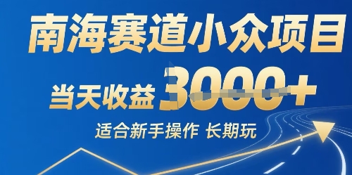 南海赛道小众项目，当天收益1k+适合新手操作可以长期玩-吾藏分享