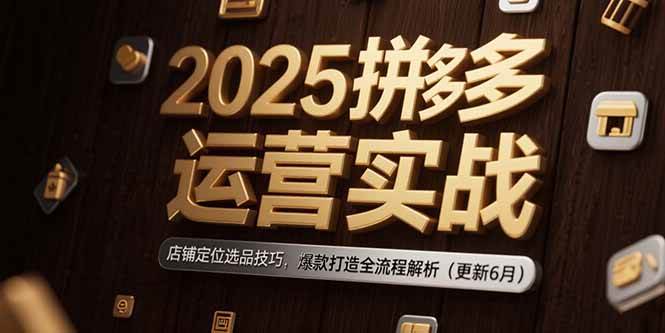 （15235期）2025拼多多运营实战：店铺定位选品技巧，爆款打造全流程解析（更新6月）-吾藏分享