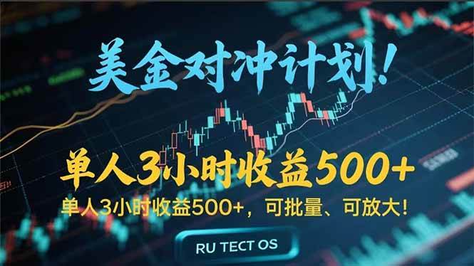 （15321期）长久稳定的撸美金项目，平均3小时收入 500+，可公司实地考察实地操作！-吾藏分享