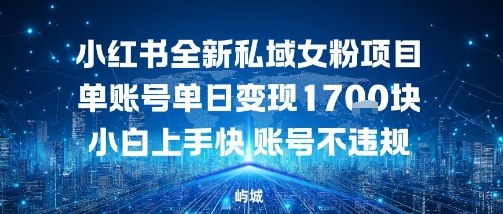 小红书全新私域女粉项目单账号单日变现多张，小白上手快账号不违规建议准备多账号操作-吾藏分享