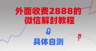（15301期）外面收费2888的微信解封教程，具体自测-吾藏分享