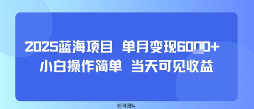 2025蓝海项目 单月变现6k+ 小白操作简单 当天可见收益-吾藏分享