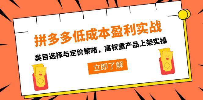 （15143期）拼多多低成本盈利实战，类目选择与定价策略，高权重产品上架实操-渝渝网创