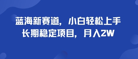 蓝海新赛道，小白轻松上手，长期稳定项目，月入2W-吾藏分享