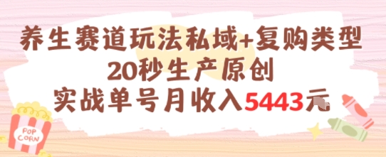 养生赛道玩法私域+复购类型，20秒生产原创实战单号月收入5k+-吾藏分享