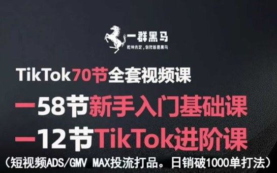 TikTok全套视频课，新手入门+进阶课，短视频ADS-GMV MAX投流打品，日销破1000单打法-吾藏分享