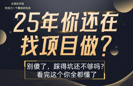 25年，你还在疯狂的找项目吗？别傻了，看完这个你都懂了【揭秘】-吾藏分享