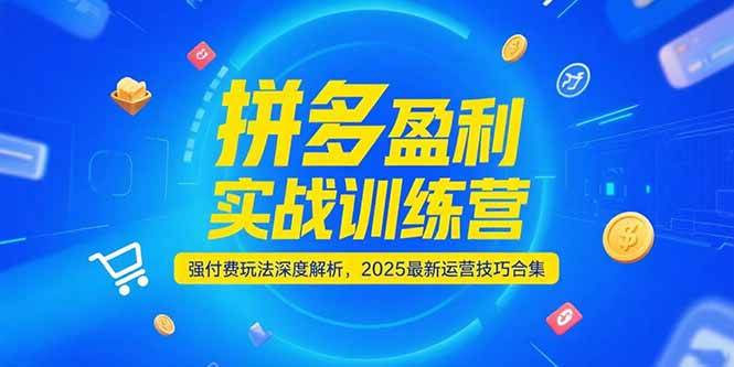（15183期）拼多多盈利实战训练营，强付费玩法深度解析，2025最新运营技巧合集-渝渝网创