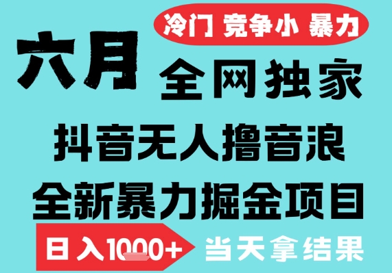 2025年6月高爆抖音无人直播最新撸音浪掘金项目，无脑日入1k+，低门槛小白可做，可矩阵放大【揭秘】-吾藏分享