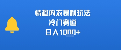情趣内衣暴利玩法，冷门赛道，日入1k+-吾藏分享