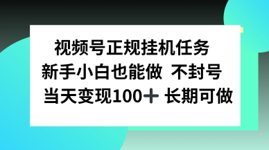 视频号正规挂播任务，有手就行不违规，轻松日入1张-吾藏分享