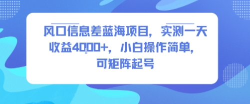 风口信息差蓝海项目，实测一天收益4k+，小白操作简单，可矩阵起号-吾藏分享