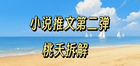 小说推文项目操作全流程第二弹，0粉就能做，门槛低非常适合新手-吾藏分享