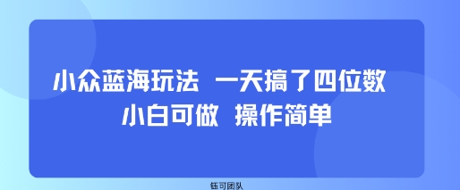 小众蓝海玩法 一天搞了四位数 小白可做 操作简单-吾藏分享