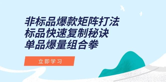 （15068期）非标品爆款矩阵打法，标品快速复制秘诀，单品爆量组合拳-吾藏分享