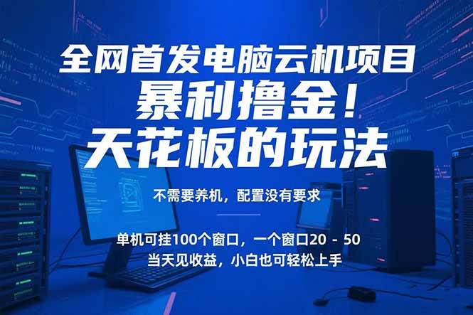 （15323期）电脑云机项目 暴力撸金玩法，不需要养机 配置没有要求 单机100个窗口一…-吾藏分享