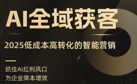 AI全域获客实训营，2025低成本高转化的智能营销，精准找客，高效营销-吾藏分享