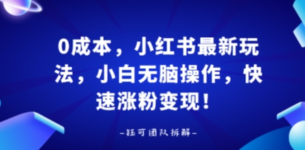 0成本，小红书最新玩法，小白无脑操作，快速涨粉变现-吾藏分享