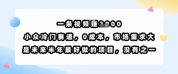 一条视频挣1k，小众冷门赛道，0成本，市场需求大，是未来半年最好做的项目，没有之一-吾藏分享
