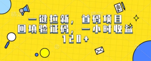 一键拉新，首码项目，回填验证码，一小时收益1张-吾藏分享