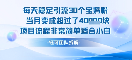每天稳定引流30个人 当月变成超过了4个W项目流程非常简单适合小白-吾藏分享