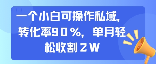 一个小白可操作私域，转化率90%，单月轻松收割2W-吾藏分享