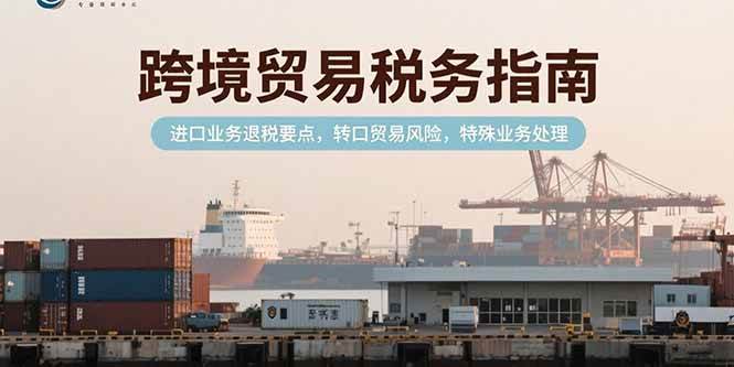 （15381期）跨境贸易税务指南，进口业务退税要点，转口贸易风险，特殊业务处理-吾藏分享