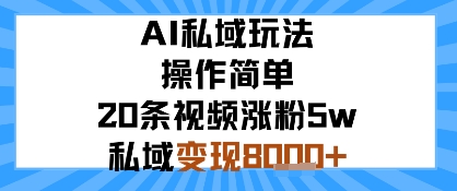 AI私域玩法，操作简单，20条视频涨粉5w，私域变现8k+-吾藏分享