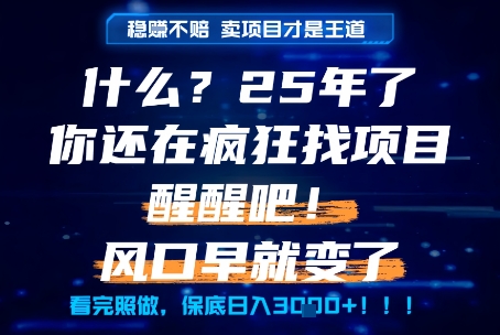 什么？25年你还在疯狂找项目做，醒醒吧，看完这些你全都懂了！【揭秘】-吾藏分享