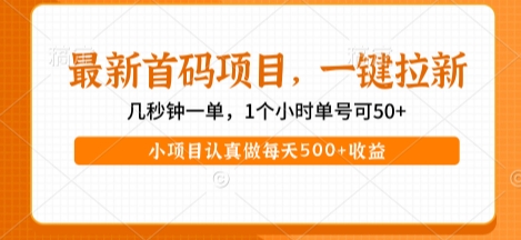 最新首码项目，操作最简单，收益高，一键拉新，1个小时单号可50+，小项目认真做每天5张+收益【揭秘】-吾藏分享