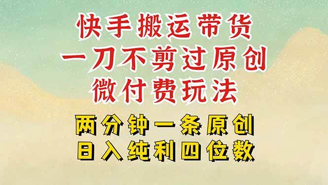 （15577期）快手黑科技搬运带货，一刀不剪过原创，微付费投流玩法，轻松日入四位数…-吾藏分享