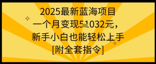 2025最新蓝海项目一个月变现1w+新手小白也能轻松上手【附全套指令】-吾藏分享