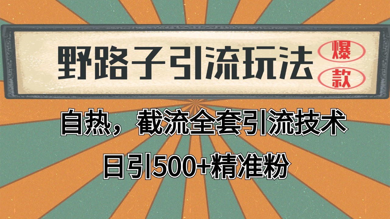 2024首发野路子引流玩法截流自热全平台打法，全自动引流【日引2000+精准客户】-渝渝网创