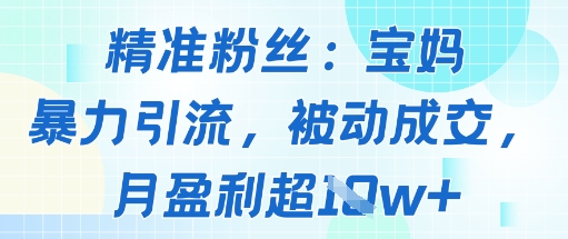 精准粉丝：宝妈暴力引流方法，被动成交，月盈利超1w+-吾藏分享