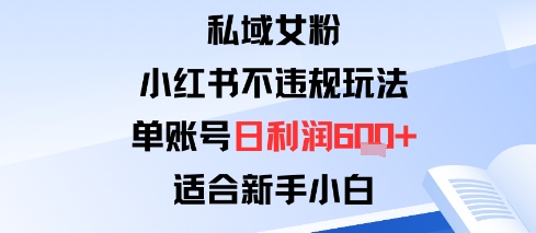 私域女粉：小红书平台不违规玩法单账号日利润6张+适合新手小白-吾藏分享
