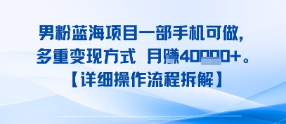 8月新男粉蓝海项目一部手机可做，多重变现方式 月入4W+【详细操作流程拆解】-吾藏分享