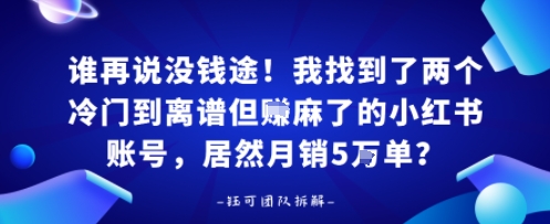 谁再说没钱途！我找到了两个冷门到离谱但賺麻了的小红书账号，居然月销5W单？-吾藏分享