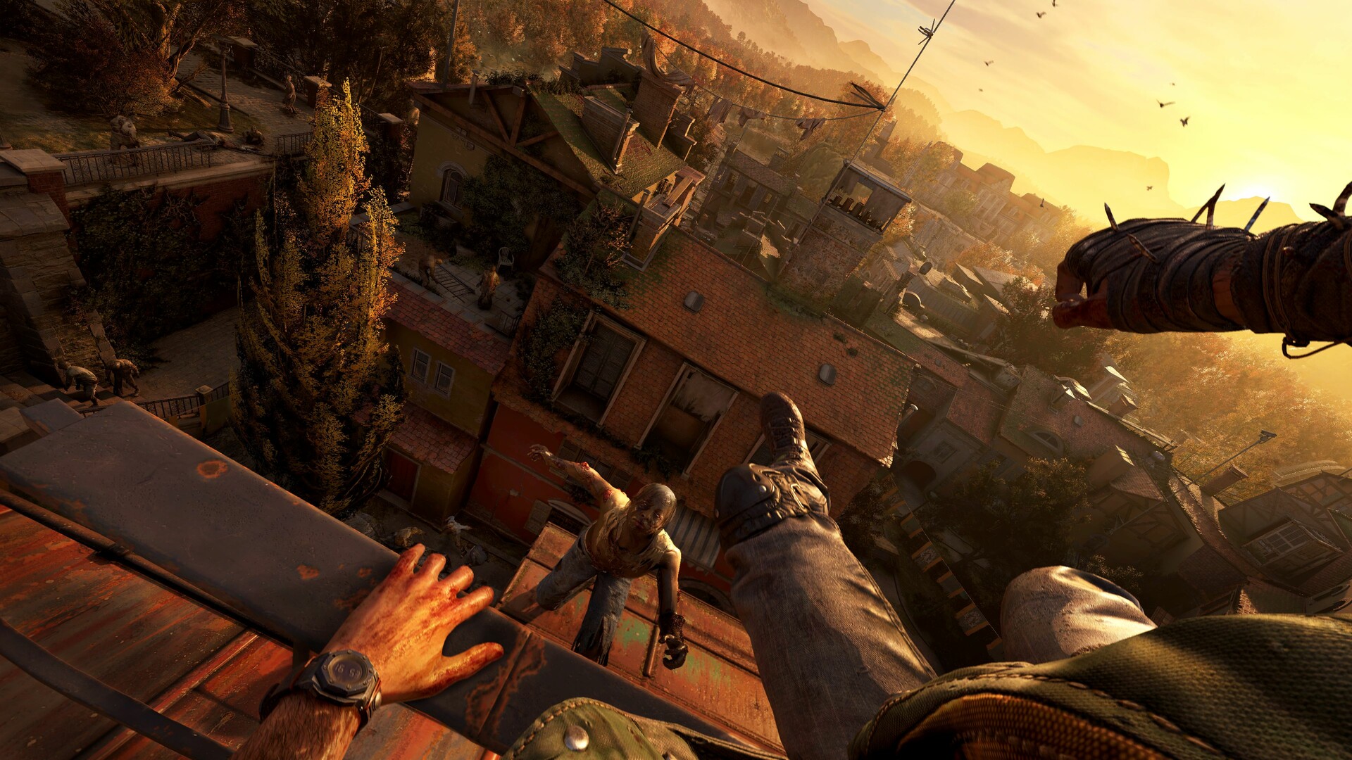 消逝的光芒：困兽/Dying Light: The Beast/支持网络联机-吾藏分享