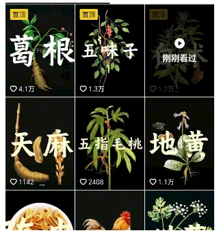 抖音中草药赛道，用AI做中草药故事视频，45条作品涨粉13W，橱窗带货猛猛出单-吾藏分享